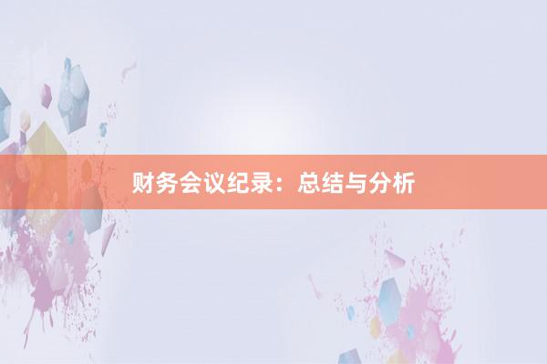 财务会议纪录：总结与分析