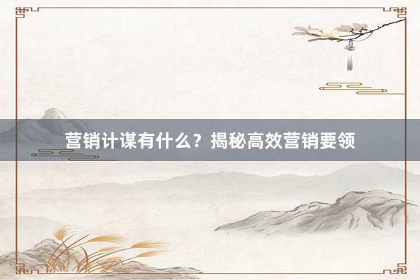 营销计谋有什么？揭秘高效营销要领